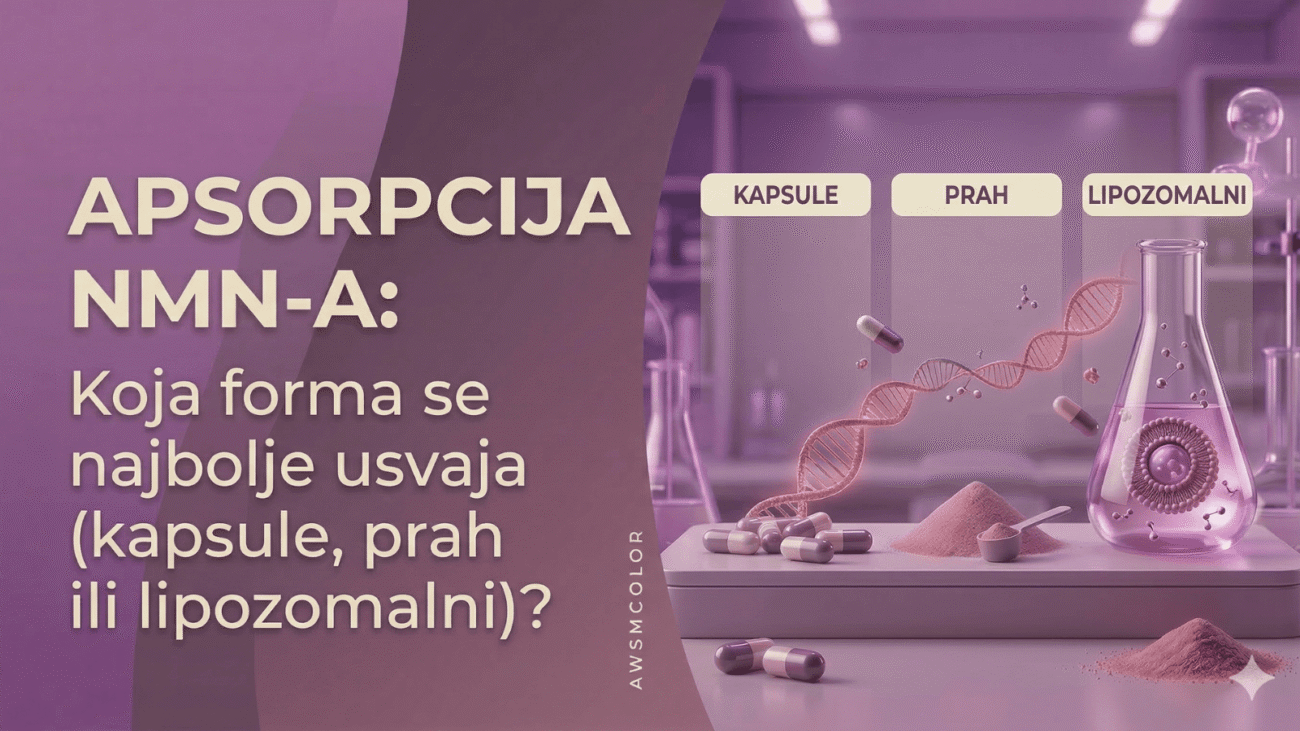 Apsorpcija NMN-a