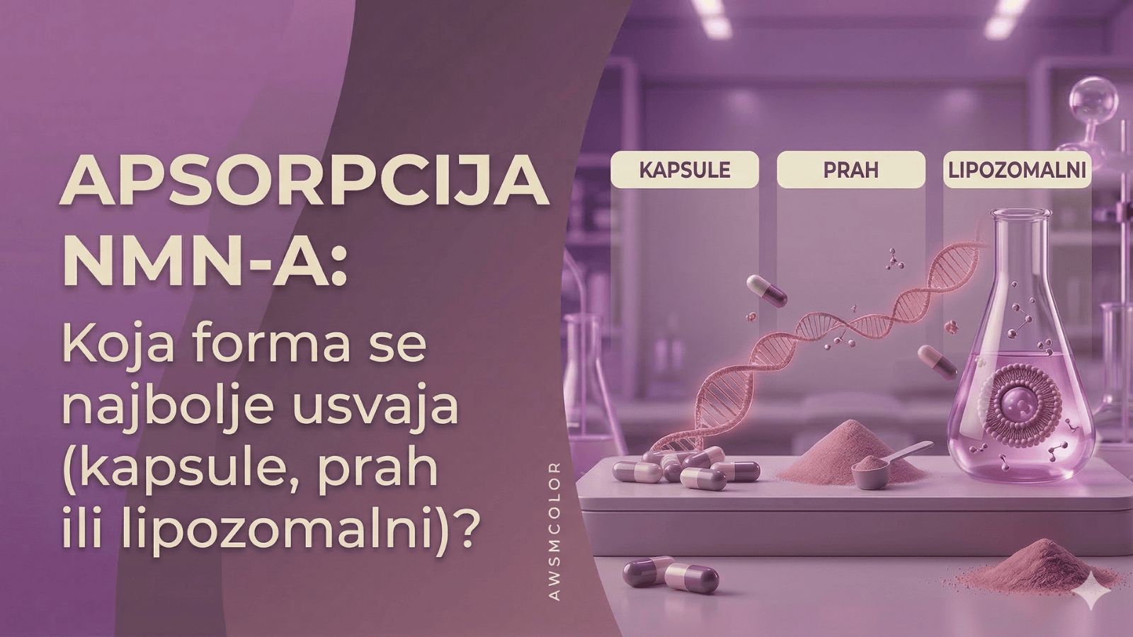 Apsorpcija NMN-a